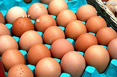 怎么選雞蛋，雞蛋的保質期又是多久你知道嗎？